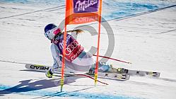 SKI World Cup, DH Cortina 2016