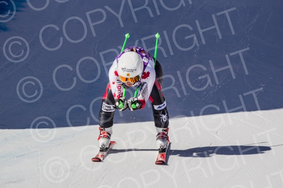 Ski World Cup DH Cortina 2016