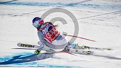 SKI World Cup, DH Cortina 2016