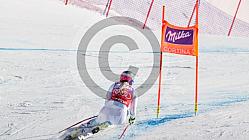 SKI World Cup, DH Cortina 2016