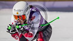 Ski World Cup DH Cortina 2016