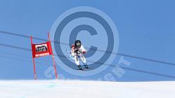 SKI WORLD CUP,DH LADIES ,ST MORITZ, 2015