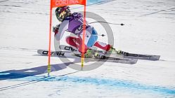 Ski World Cup DH Cortina 2016